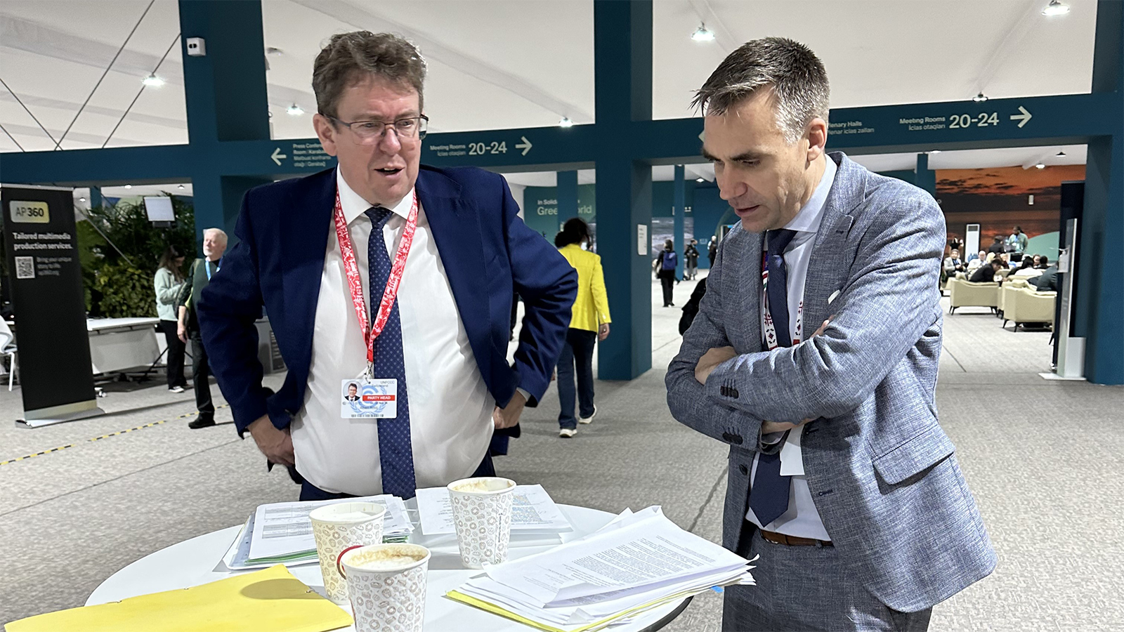 COP29